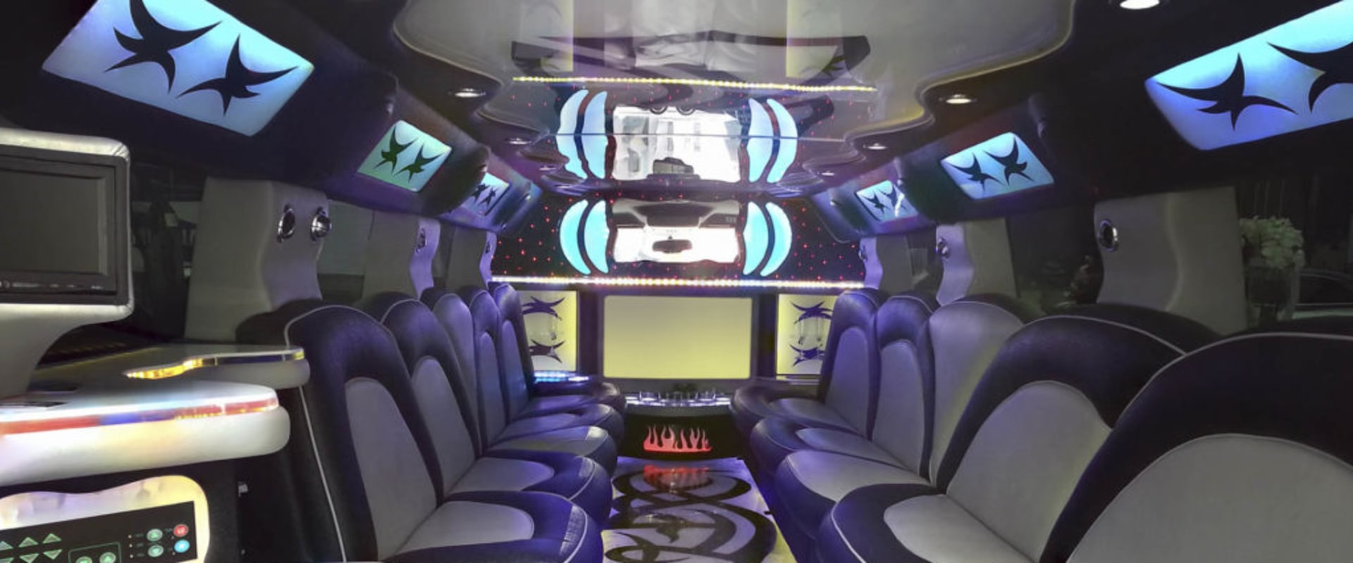 Who drives a party bus?