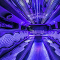 How a Party Bus Enhances Corporate and Private Gatherings
